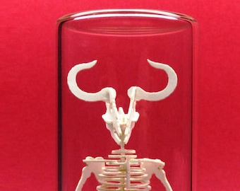 Minotaur Miniature Skeleton Deluxe Kit