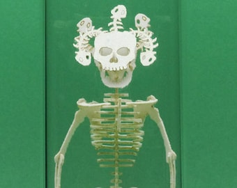 Medusa Miniature Skeleton Deluxe Kit