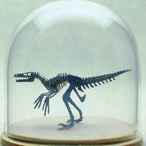 Blue Velociraptor Miniature Skeleton Deluxe Kit