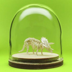 Triceratops Miniature Skeleton Deluxe Kit