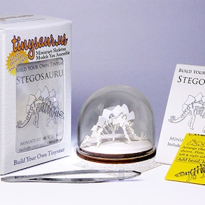 Kit de luxe squelette miniature Stegosaurus image 2