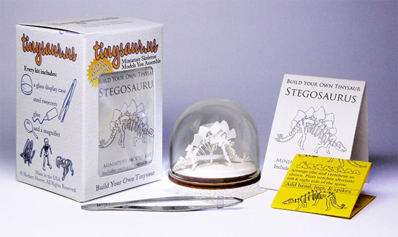 Kit de luxe squelette miniature Stegosaurus image 2