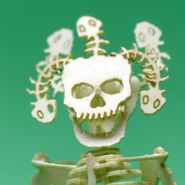Medusa Mini Skeleton Bones