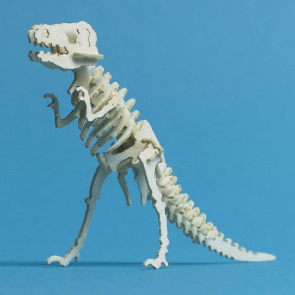 Classic T-Rex Mini Skeleton Bones