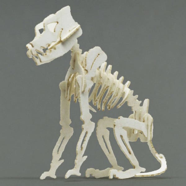 Canine Mini Skeleton Bones