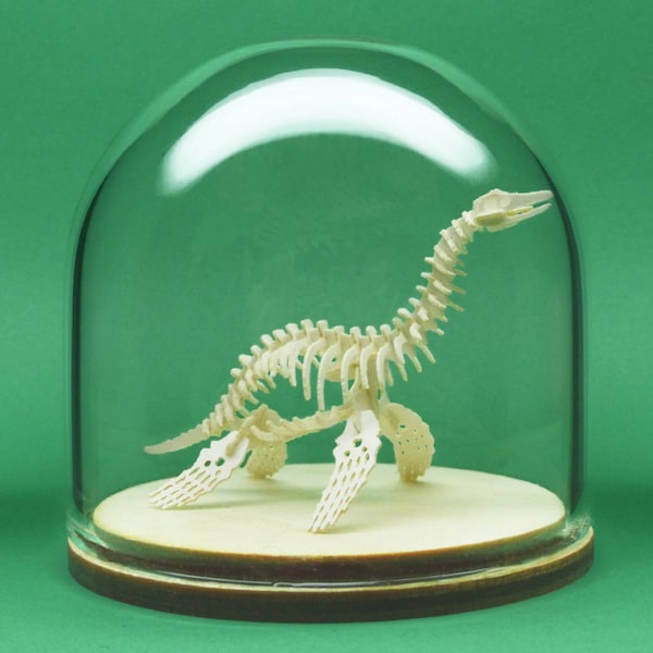 Plesiosaur Miniature Skeleton Deluxe Kit