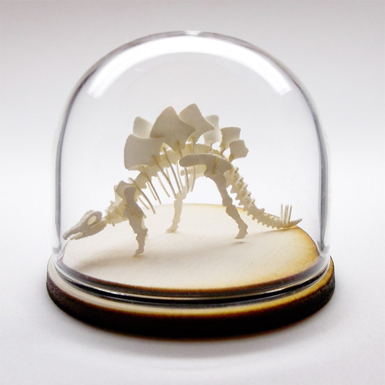 Kit de luxe squelette miniature Stegosaurus image 4
