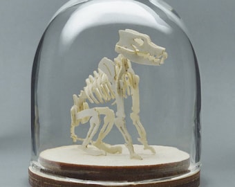 Canine Miniature Skeleton Deluxe Kit