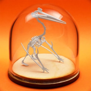 Quetzalcoatlus Miniature Skeleton Deluxe Kit