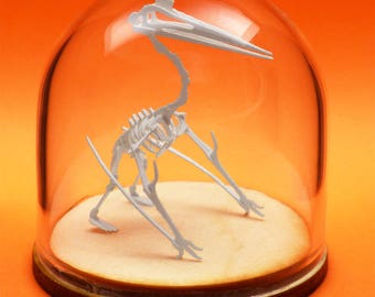 Quetzalcoatlus Miniature Skeleton Deluxe Kit