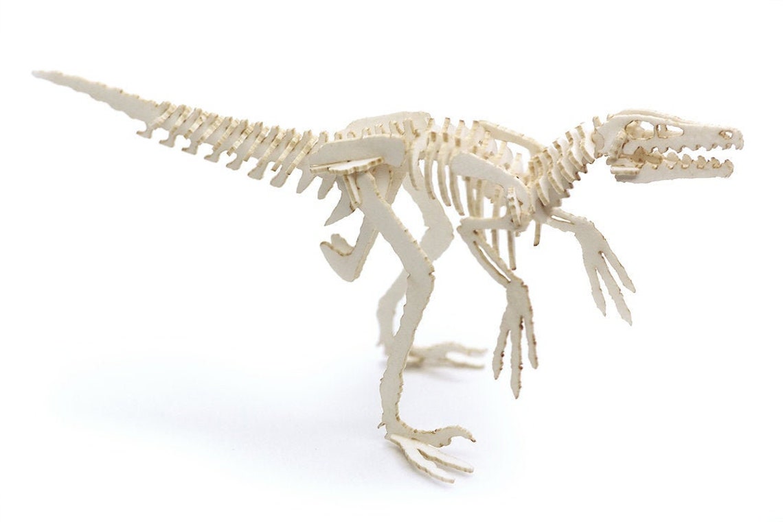 velociraptor bones