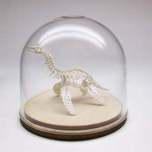 59mm Glass Cloche dome with wood base