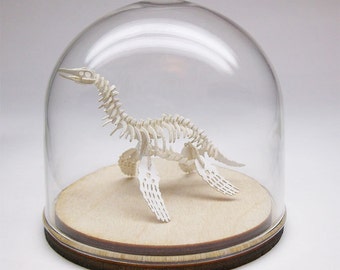 59mm Glass Cloche dome with wood base