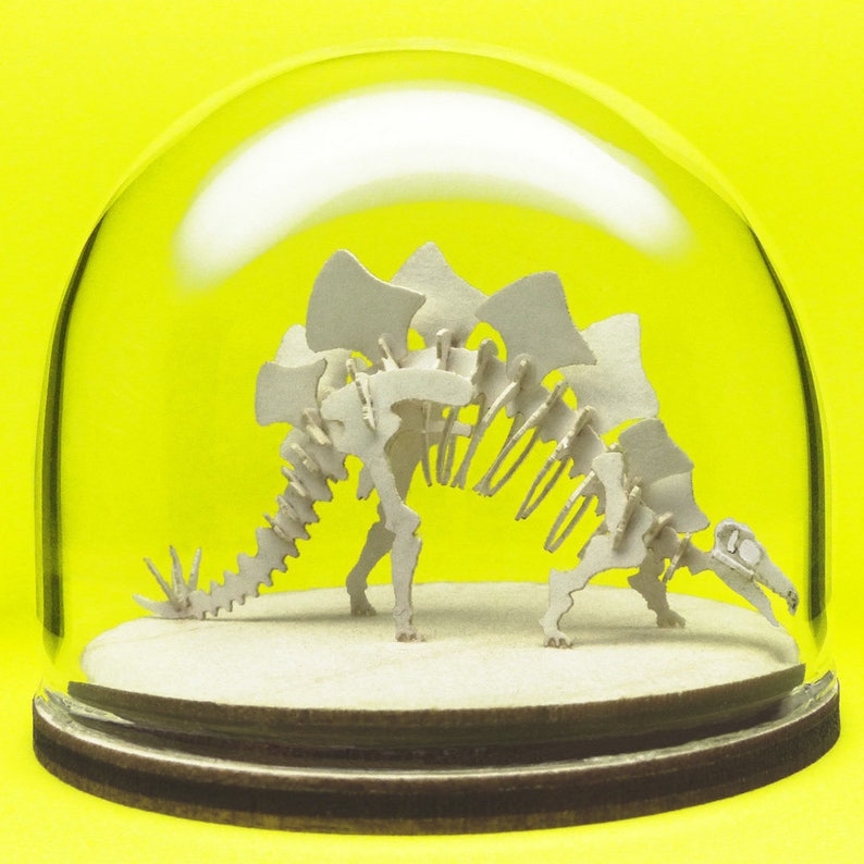 Kit de luxe squelette miniature Stegosaurus image 1