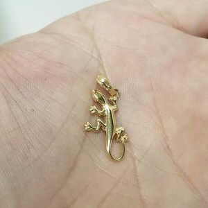 May include: A gold-colored lizard pendant charm. The lizard is detailed with a textured surface and has a loop at the top for attaching to a chain.
