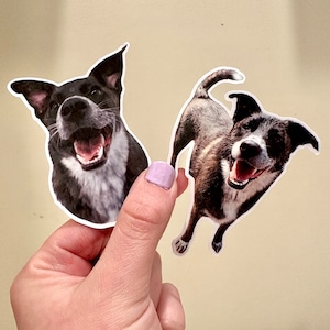 Personalized Pet Sticker, Pet Photo Sticker, Custom Pet Sticker, Dog Sticker, Cat Sticker, Custom Photo Pet Portrait, Die Cut Pet Sticker