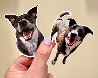 Personalized Pet Sticker, Pet Photo Sticker, Custom Pet Sticker, Dog Sticker, Cat Sticker, Custom Photo Pet Portrait, Die Cut Pet Sticker