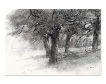 霧の中の木々 木炭画 風景画 オリジナル作品 - Etsy 日本