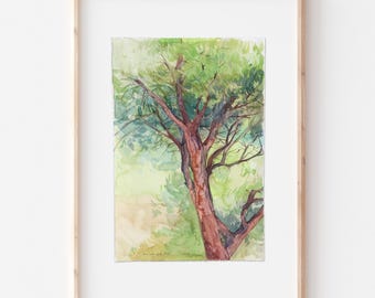 Original Tree Watercolor – Pine Tree Art Print, Nature Lover Gift, Wall Decor