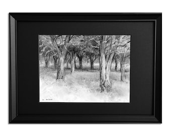 Framed Charcoal Trees Drawing: Black and White Italian Art