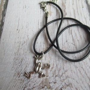 Könnte beinhalten: Eine silberne Frosch-Anhänger an einer schwarzen Schnurkette.