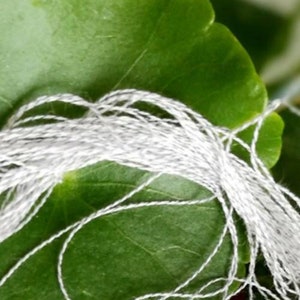 May include: White thread wrapped around a green leaf. The thread is thin and delicate, and the leaf is smooth and glossy.