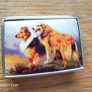 handbemalte Emaille Hundepillendose mit 2 Collies & 925 Sterlingsilber selten gesehen. Signiert 925 1 7/8 "X 1 3/8" perfekt SJ403