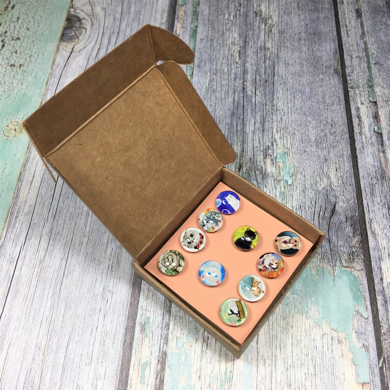 Decorative Cat Push Pins Cork Board Pins Cat Drawing Pins Etsy