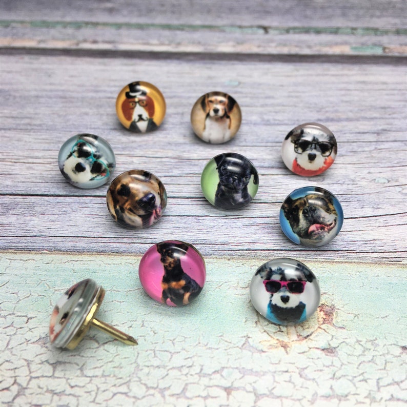 Decorative Dog Push Pins Cork Board Pins Dog Drawing Pins Etsy