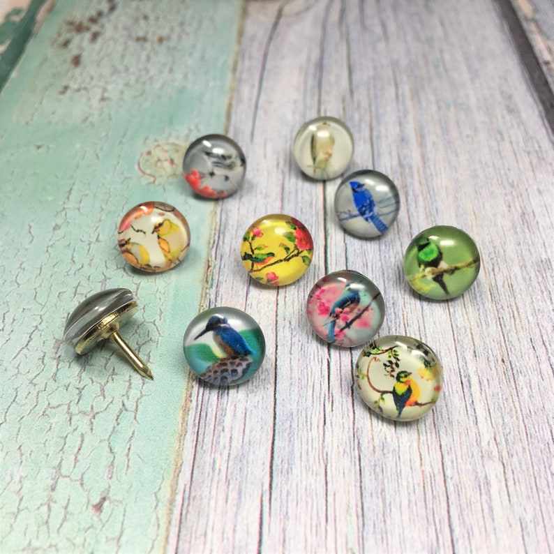 Decorative Push Pins Bird Push Pins Birds Drawing Pins Etsy UK