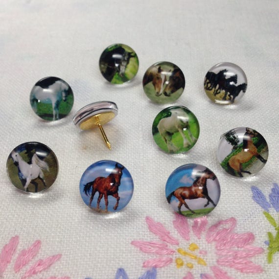 Hoar money clips oval custom hoar money clips oval cowcow Hoar money clips oval custom hoar money clips oval cowcow