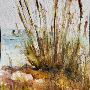 Lake Murray Cattails