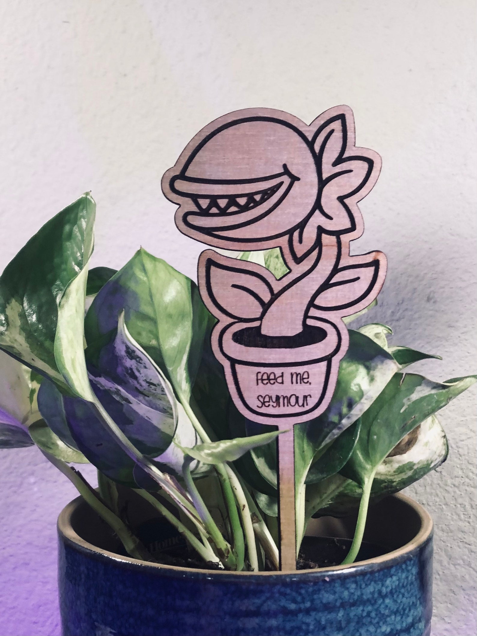 Feed Me Seymour Carnivorous Plant Stake Cute Plant Etsy