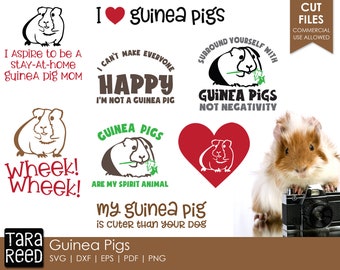 Pig Sayings Etsy