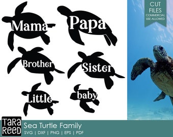 Download Free Turtle Family Svg Etsy SVG Cut Files