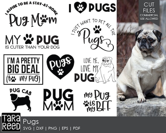 Download Pug Svg And Cut Files For Crafters Etsy