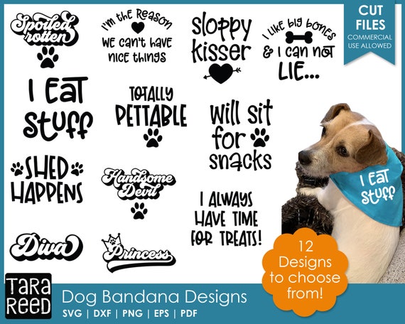 Holiday Dog Bandana Quotes Dog SVG and Cut Files for -  Israel