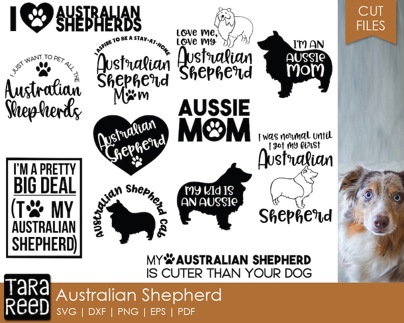 Australian Shepherd Svg And Cut Files For Crafters Etsy