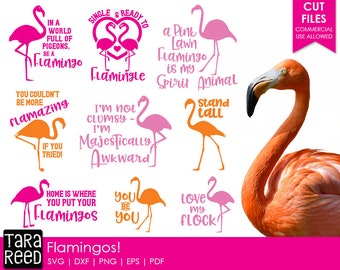 Flamingo svg files / Flamingos / Flamingo svg / svg files / svg files for Cricut /svg files for silhouette / svg bundle