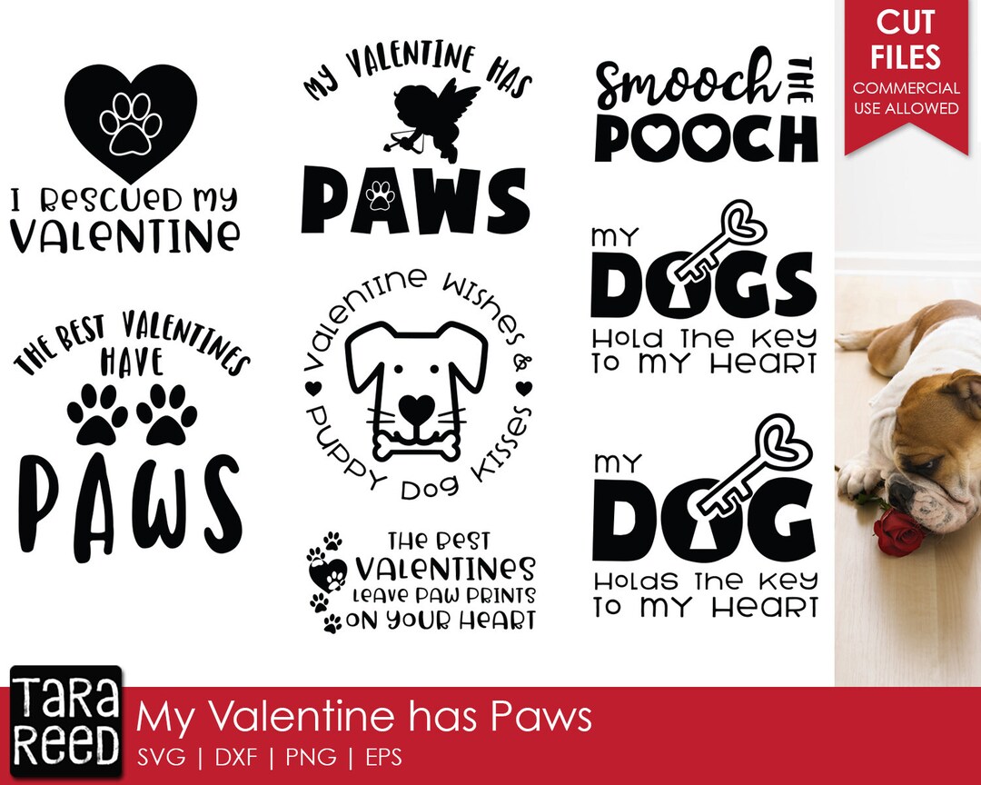 My Valentine Has Paws - Dog Valentines Day SVG and Cut Files for ...