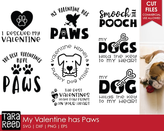My Valentine Has Paws Dog Valentines Day Svg And Cut Files Etsy