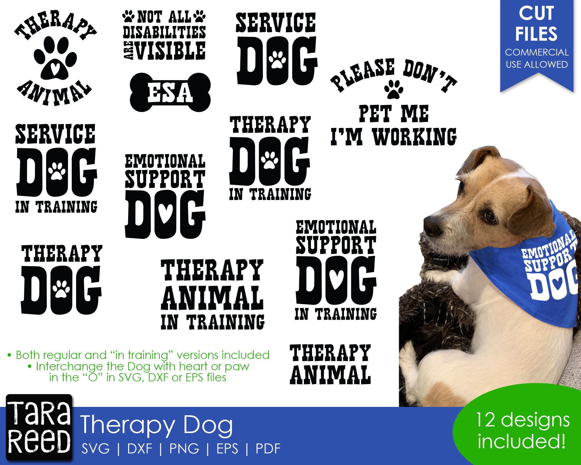 Is There Training For Emotional Support Dogs