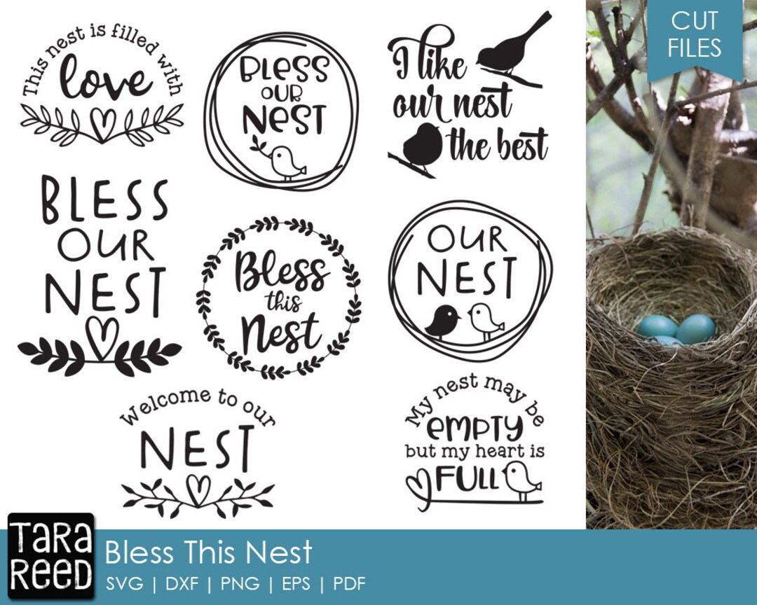 Bless This Nest Home SVG and Cut Files for Crafters - Etsy