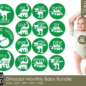 Dinosaur Monthly Baby - Baby SVG and Cut Files for Crafters