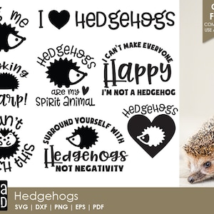 Hedgehog SVG e arquivos de corte para artesãos