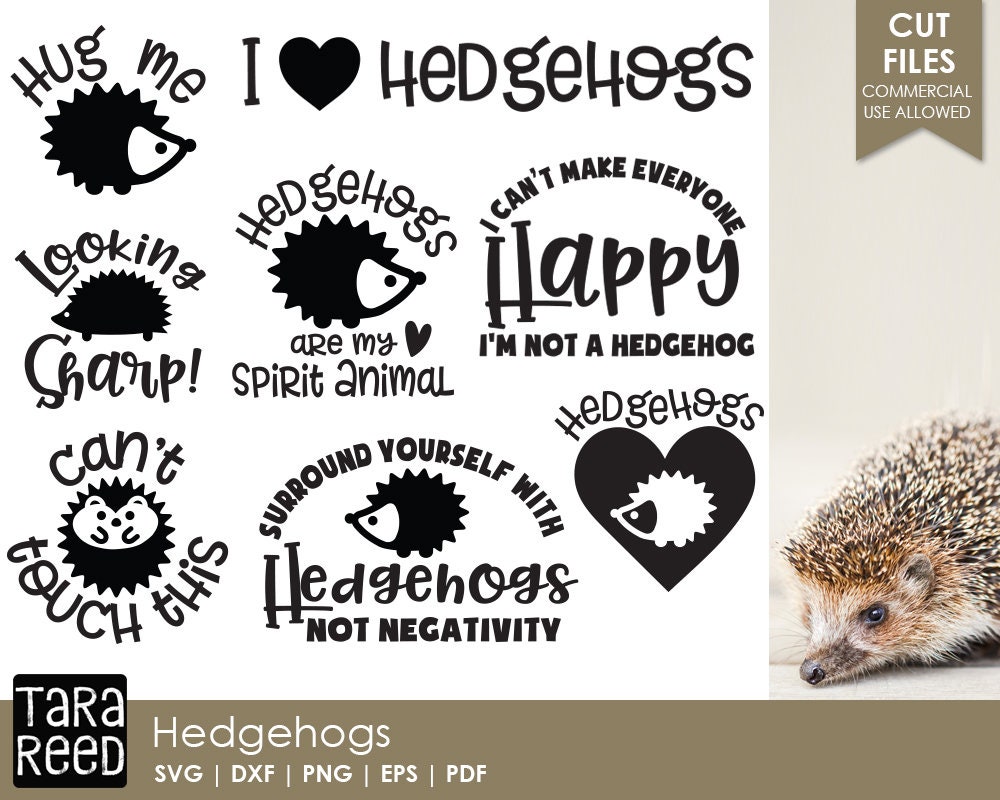 Download Hedgehog SVG and Cut Files for Crafters | Etsy