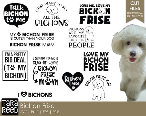 Download Bichon Frise Dog Breed Svg And Cut Files For Crafters Etsy