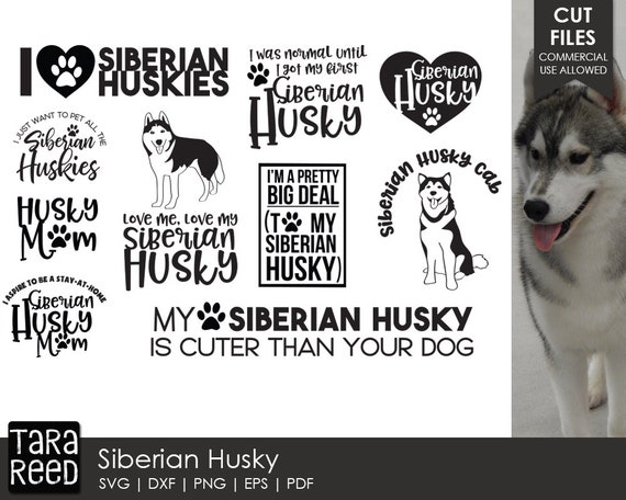 Download Siberian Husky Svg And Cut Files For Crafters Etsy