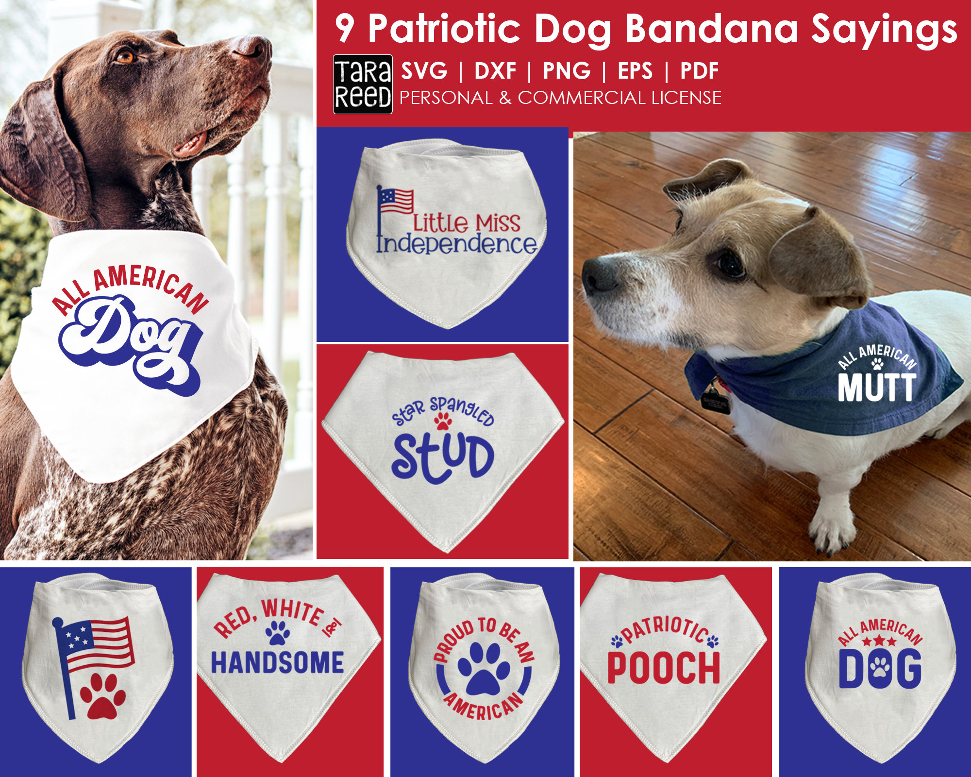 MEGA Bundle of Dog Bandana Quotes DIY Dog Bandanas Etsy
