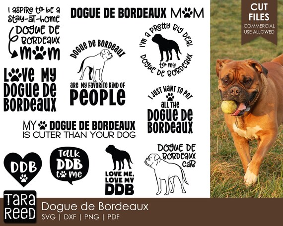 Download Dogue De Bordeaux Dog Breed Svg And Cut Files For Crafters Etsy
